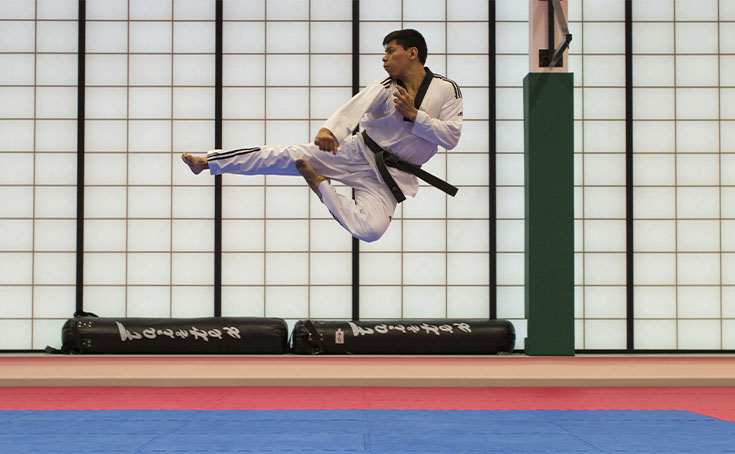 patada voladora dojo karate